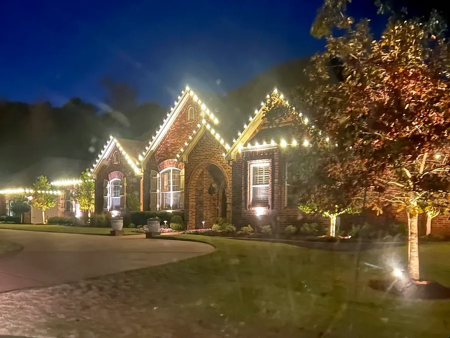 Tree & Shrub Lighting
